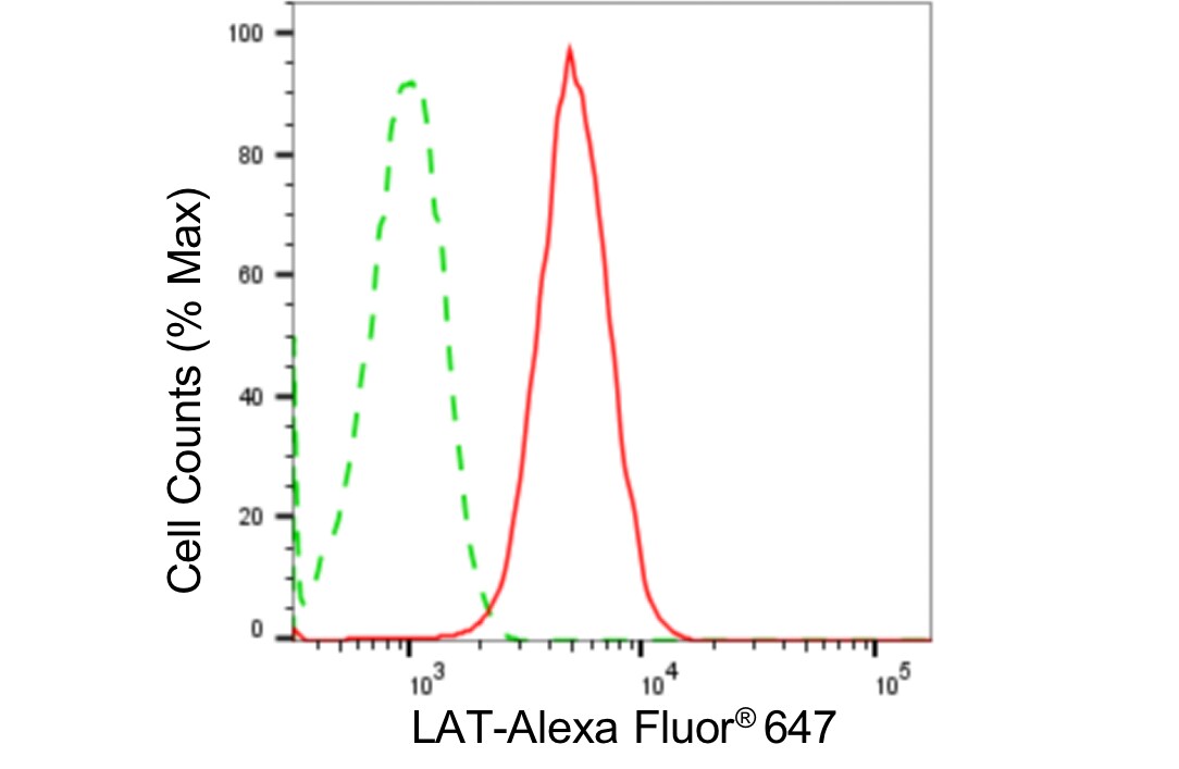 LAT Antibody (24GB4940)