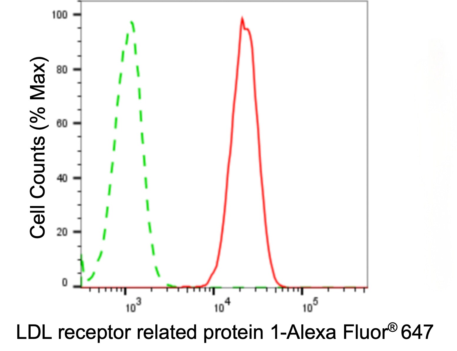 LRP-1 Antibody (24GB4945)