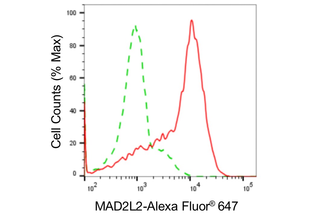 MAD2L2 Antibody (24GB4950)