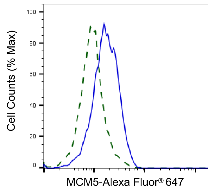 MCM5 Antibody (24GB4965)
