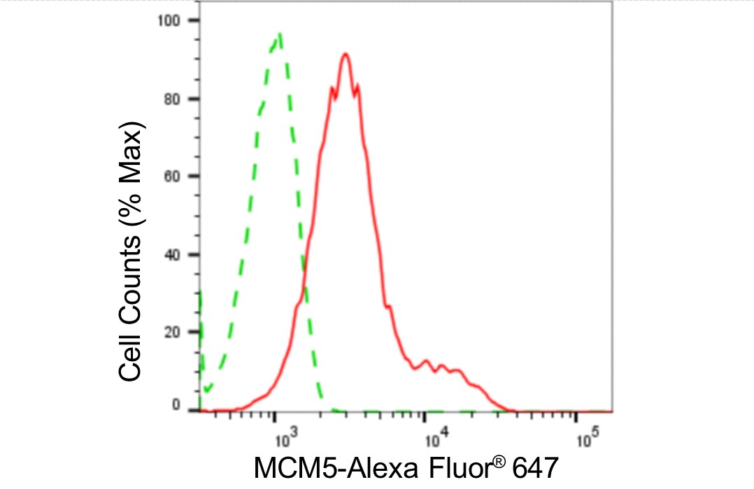 MCM5 Antibody (24GB4965)