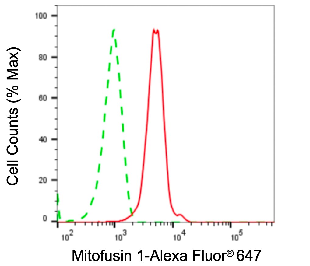 Mitofusin 1 Antibody (24GB4970)