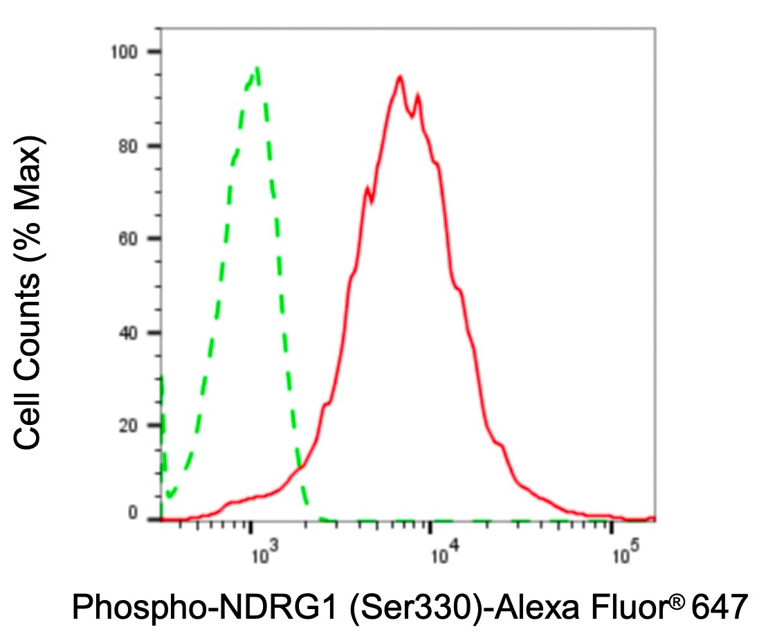 NDRG1 [p Ser330] Antibody (24GB4985)