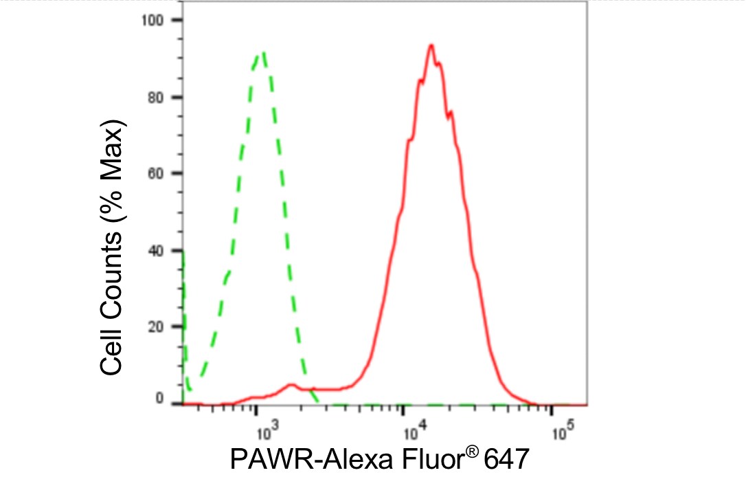 PAWR / PAR4 Antibody (24GB5010)
