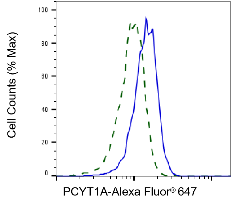 PCYT1A Antibody (24GB5015)