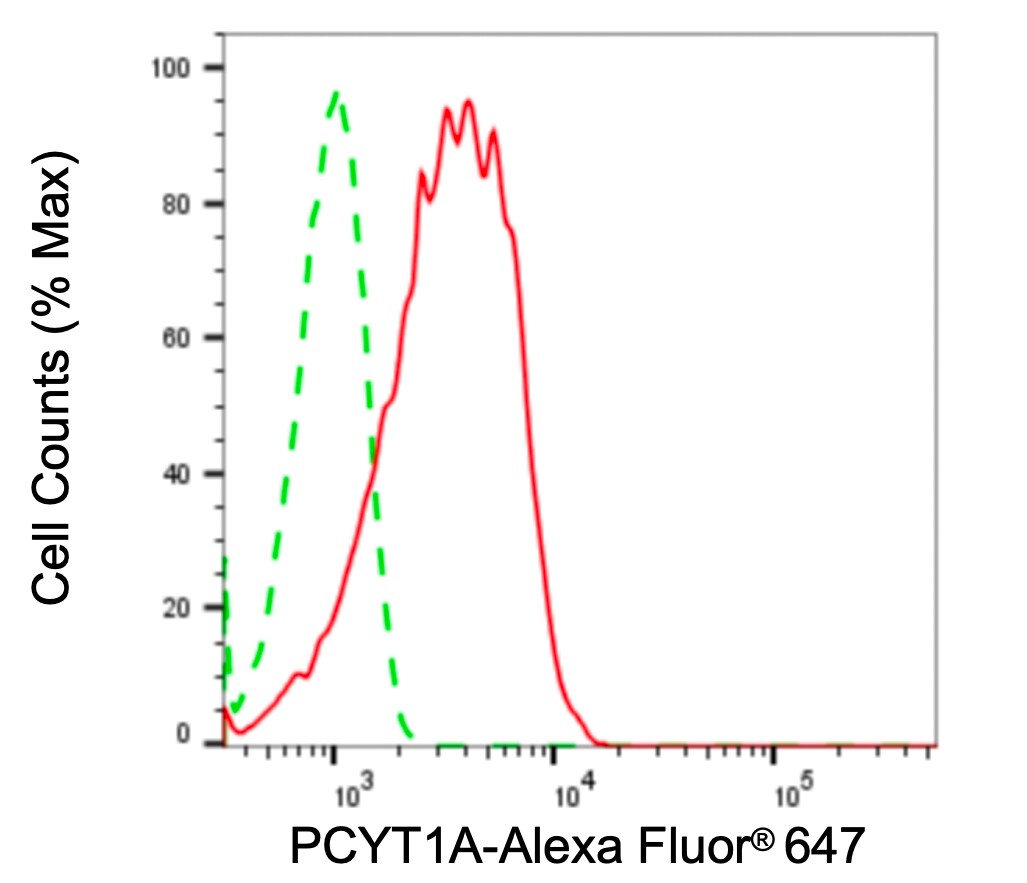 PCYT1A Antibody (24GB5015)