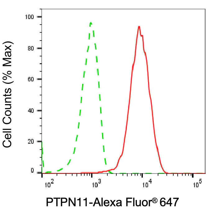 SHP-2/PTPN11 Antibody (24GB5055)