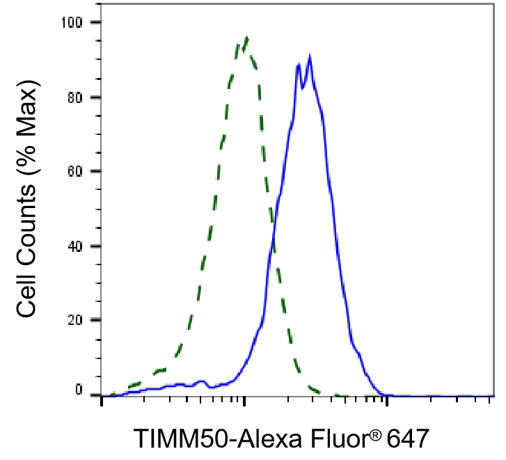 TIMM50 Antibody (24GB5300)