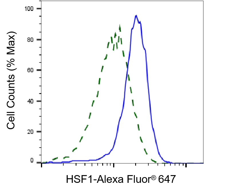 HSF1 Antibody (24GB5405)