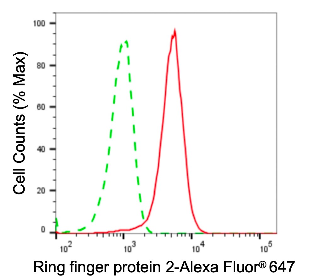 RNF2 Antibody (24GB5455)