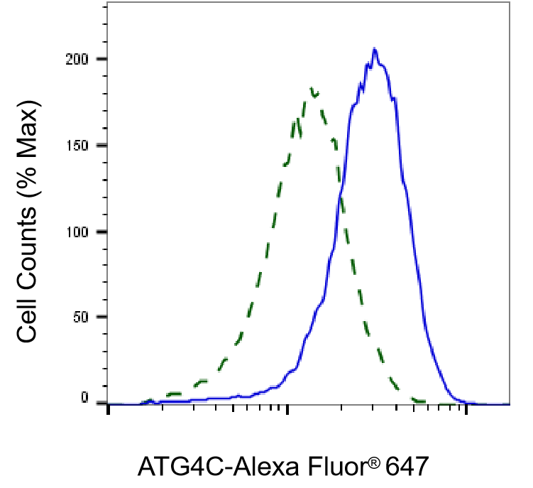 ATG4C Antibody (24GB6165)