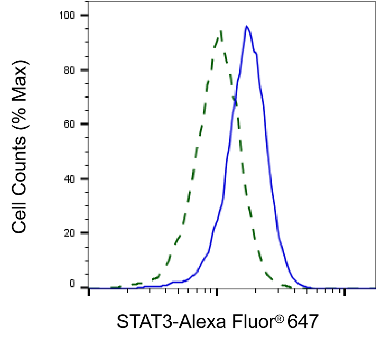 STAT3 Antibody (24GB5510)