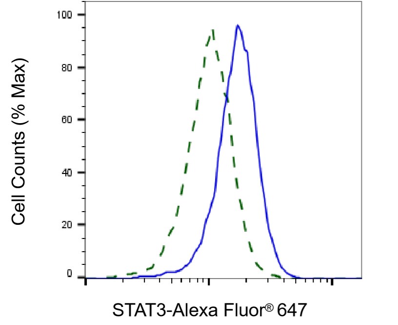 STAT3 Antibody (24GB5510)