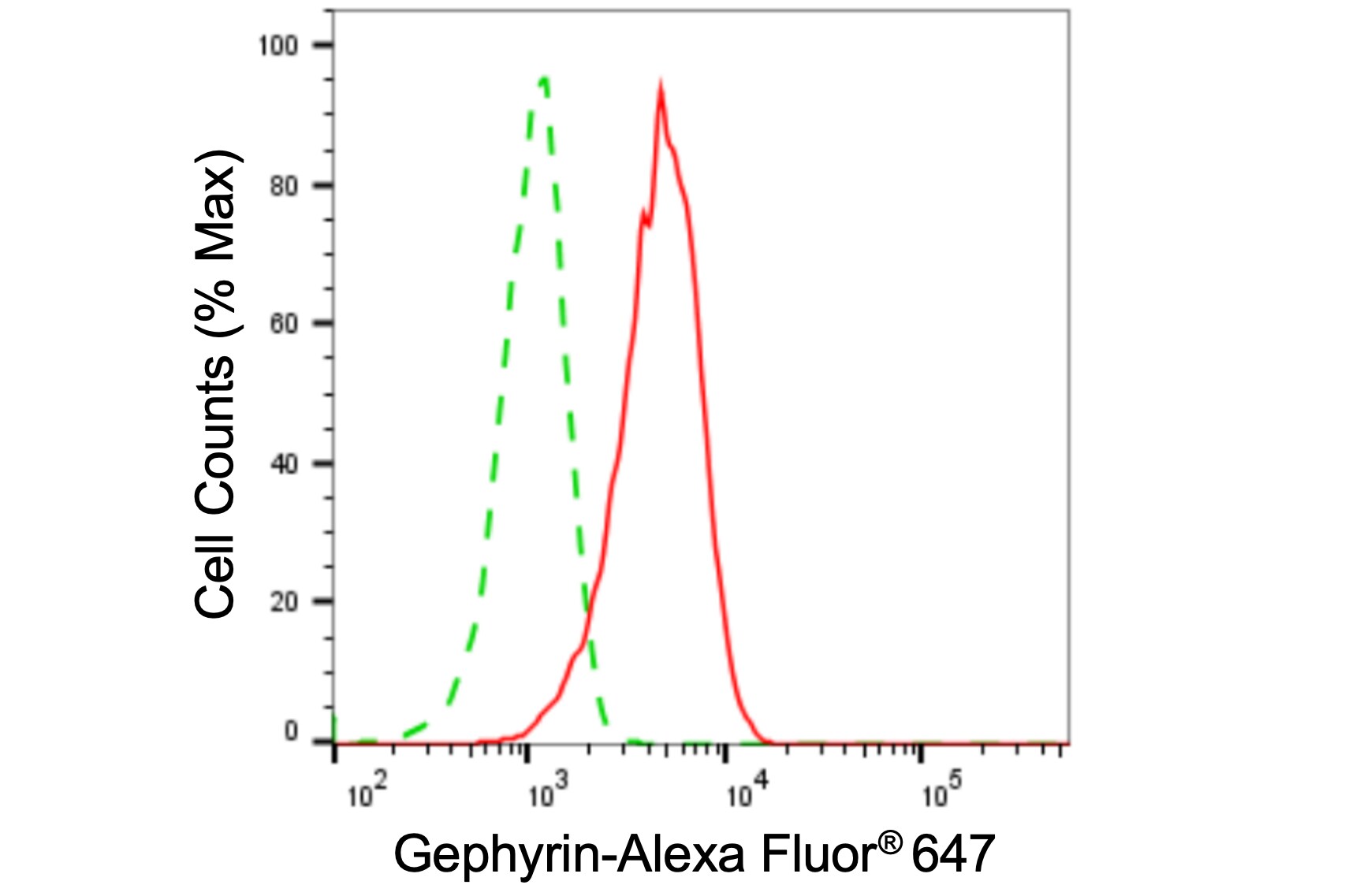 Gephyrin/GPHN Antibody (24GB5580)