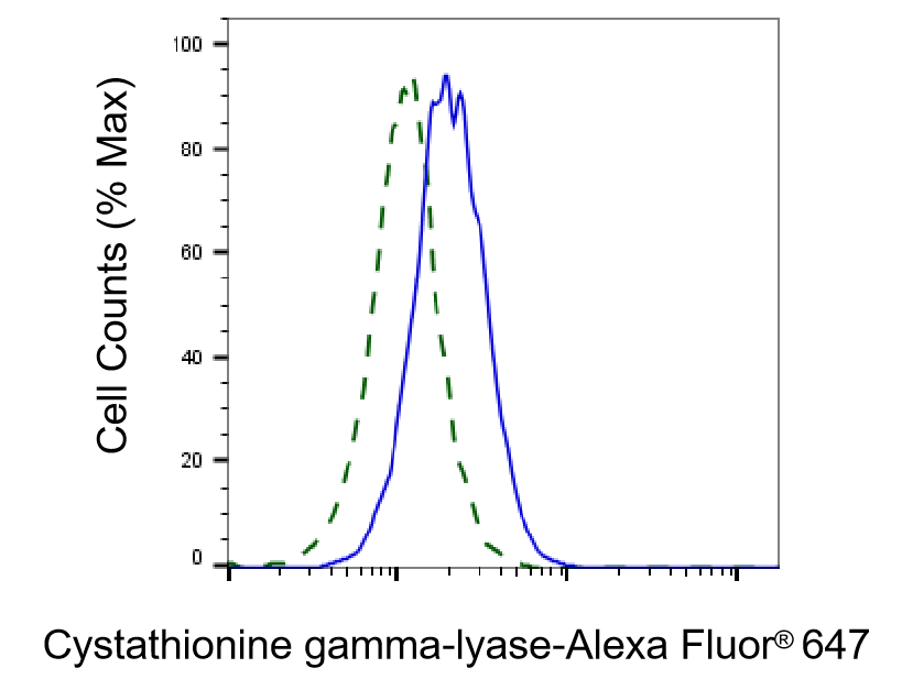 Cystathionase Antibody (24GB5615)