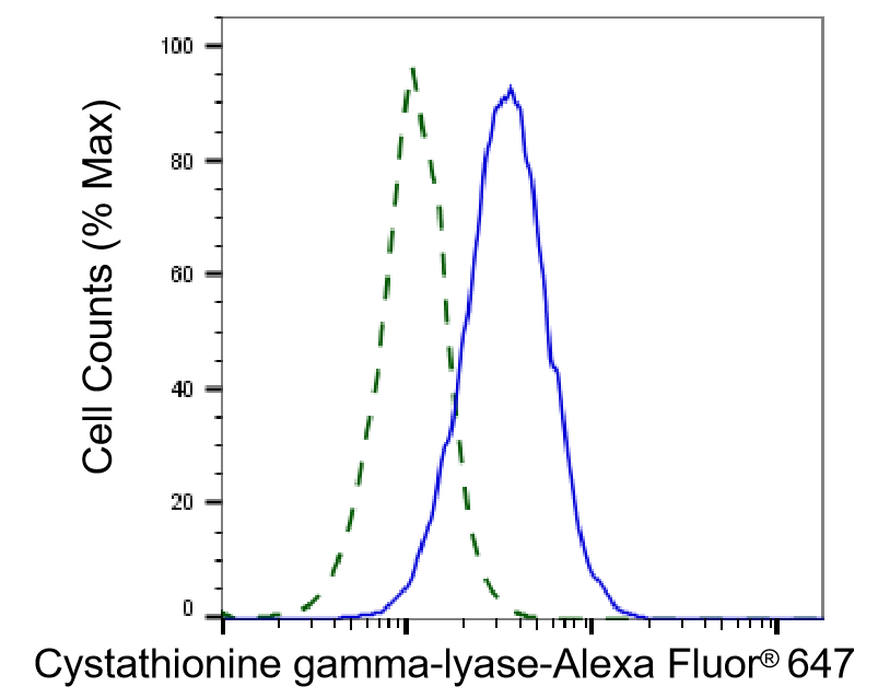 Cystathionase Antibody (24GB5620)