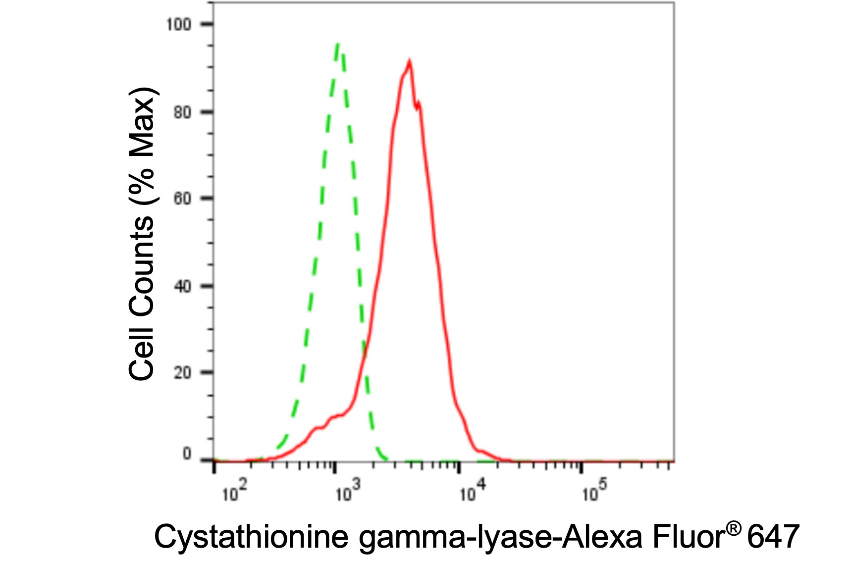 Cystathionase Antibody (24GB5620)
