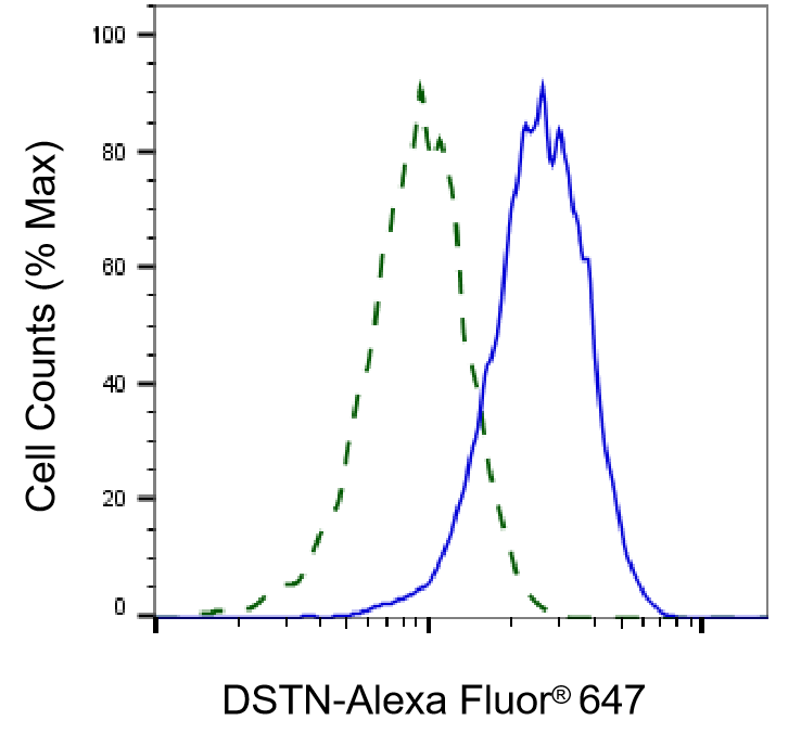 Destrin Antibody (24GB5625)