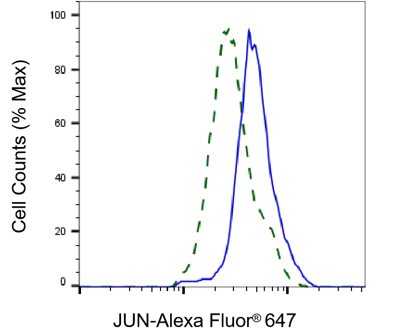 c-jun Antibody (24GB5760)