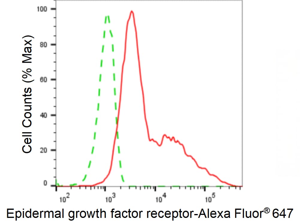 EGFR Antibody (24GB5800)