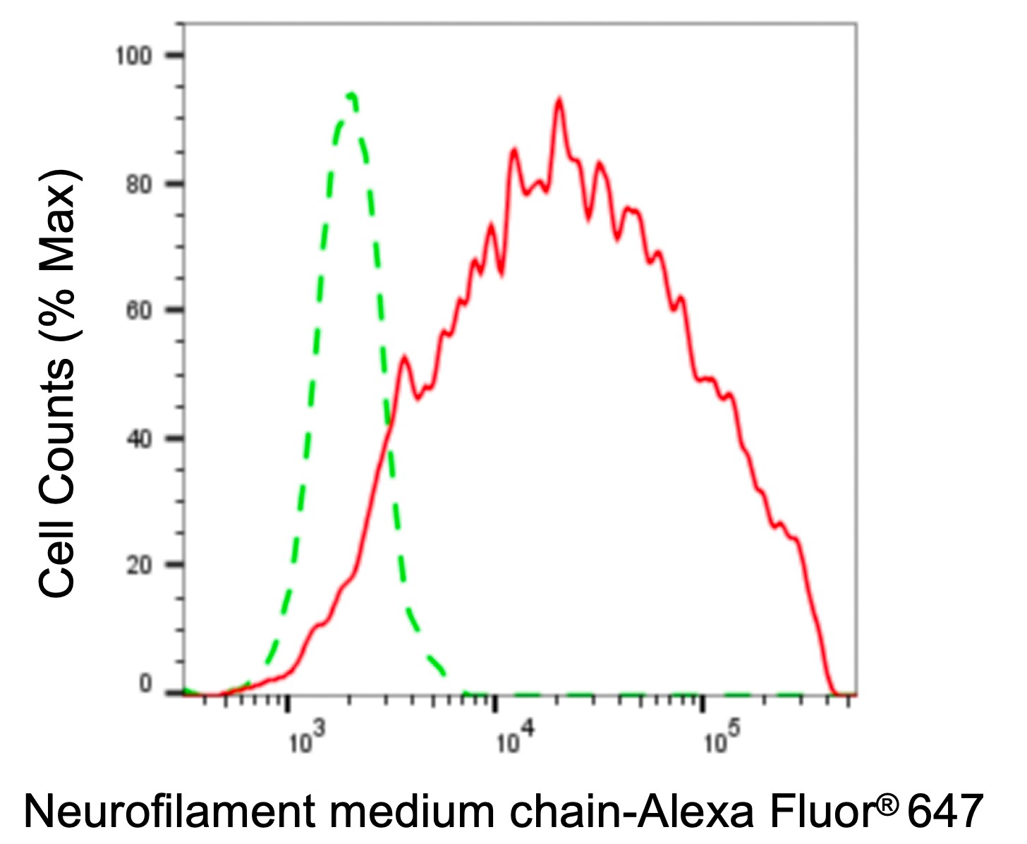 NF-M Antibody (24GB5825)