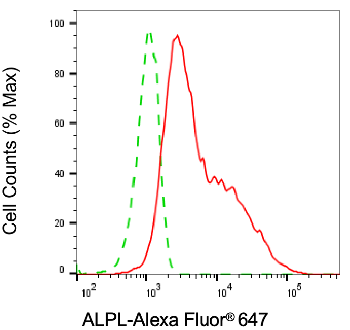 Alkaline Phosphatase/ALPL Antibody (24GB5855)