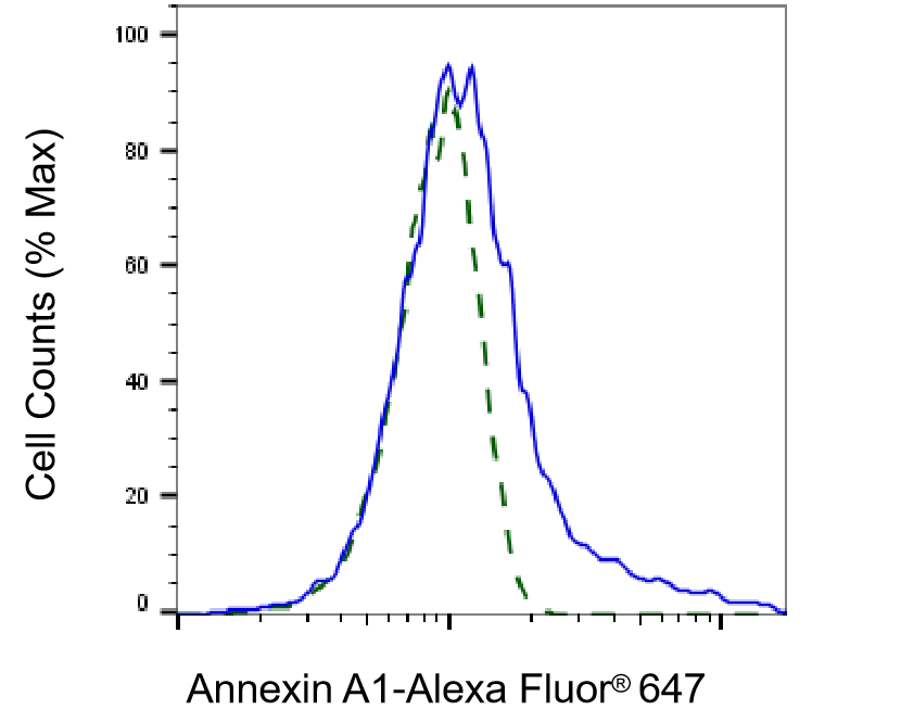 Annexin A1 Antibody (24GB6230)