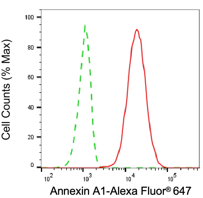 Annexin A1 Antibody (24GB6230)
