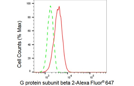 GNB2 Antibody (23GB1205)