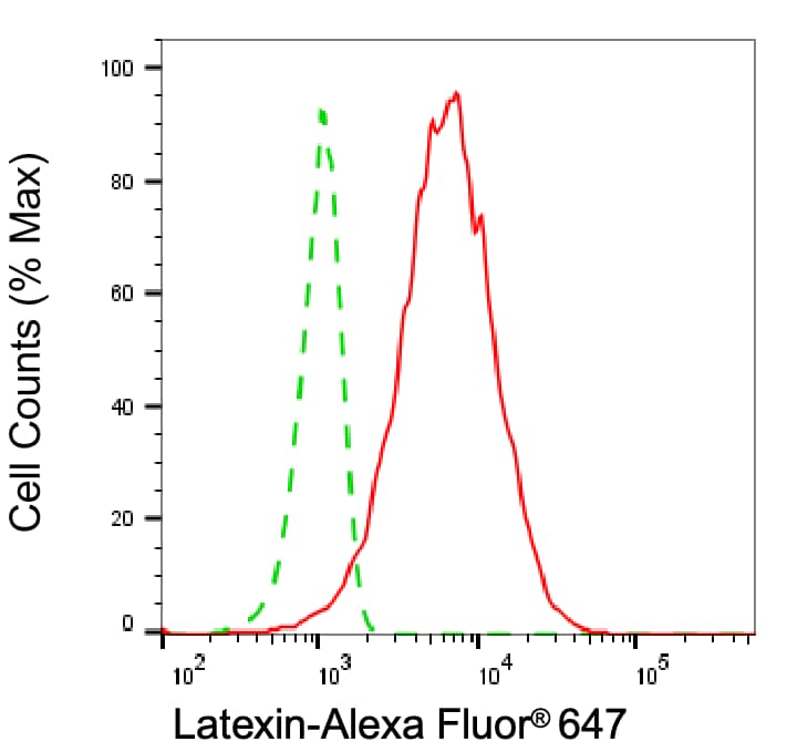 Latexin Antibody (24GB6370)
