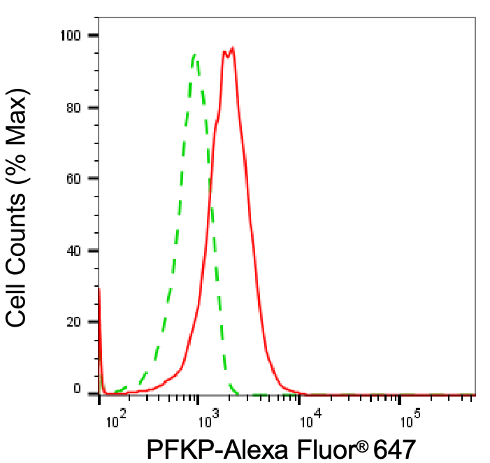 PFKP Antibody (24GB6380)