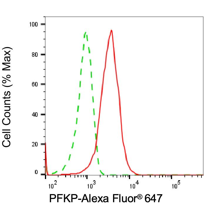 PFKP Antibody (24GB6405)