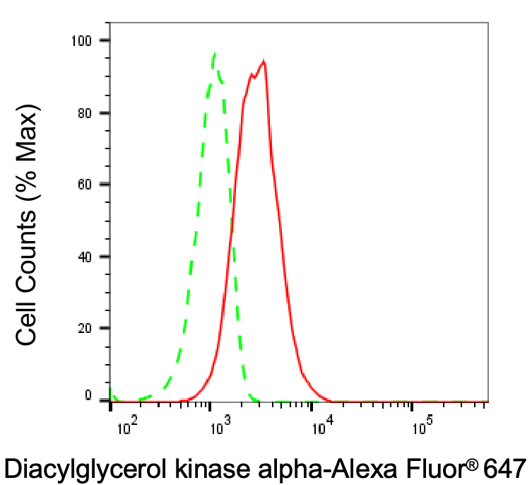 DGK-alpha Antibody (24GB6425)