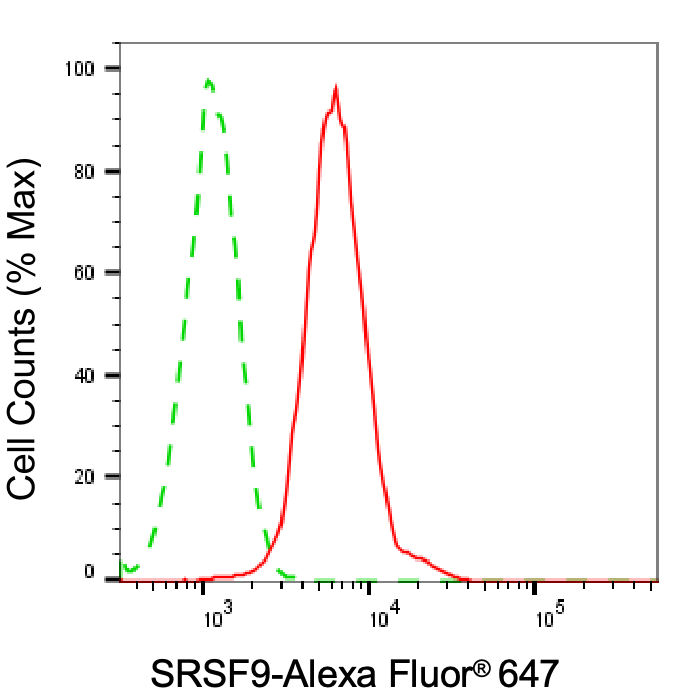 SFRS9 Antibody (24GB6610)
