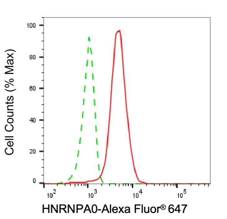 HNRNPA0 Antibody (24GB6620)