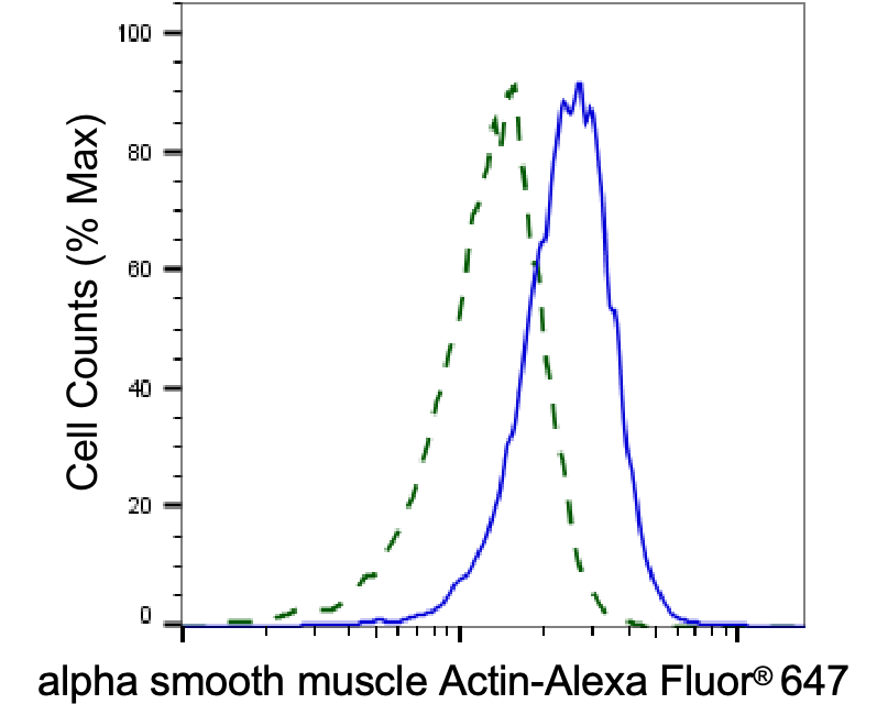 alpha-Smooth Muscle Actin Antibody (23GB600)