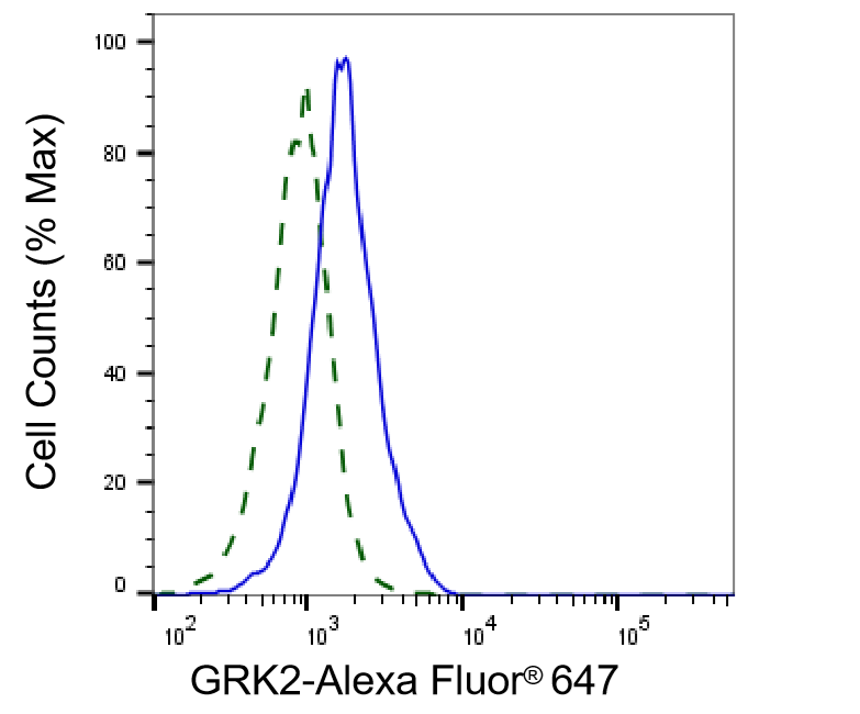 GRK2 Antibody (23GB1515)