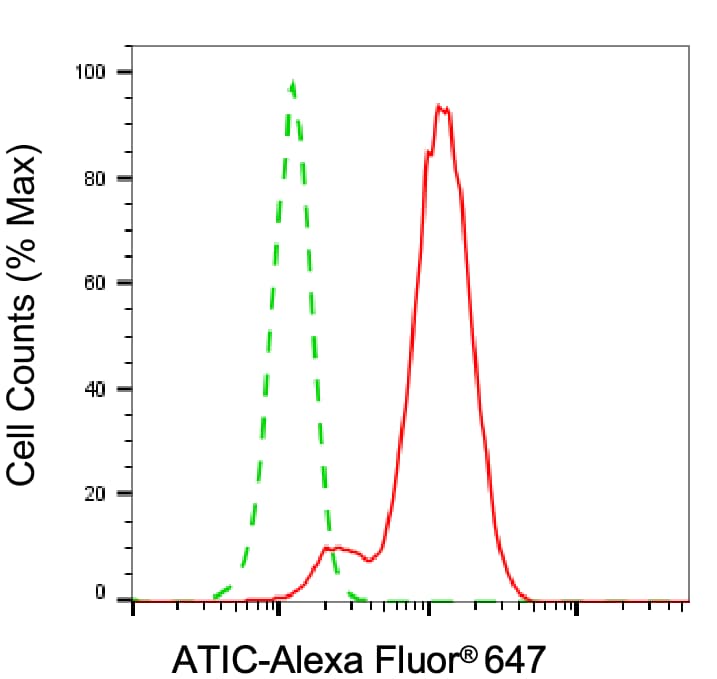 ATIC Antibody (24GB6745)