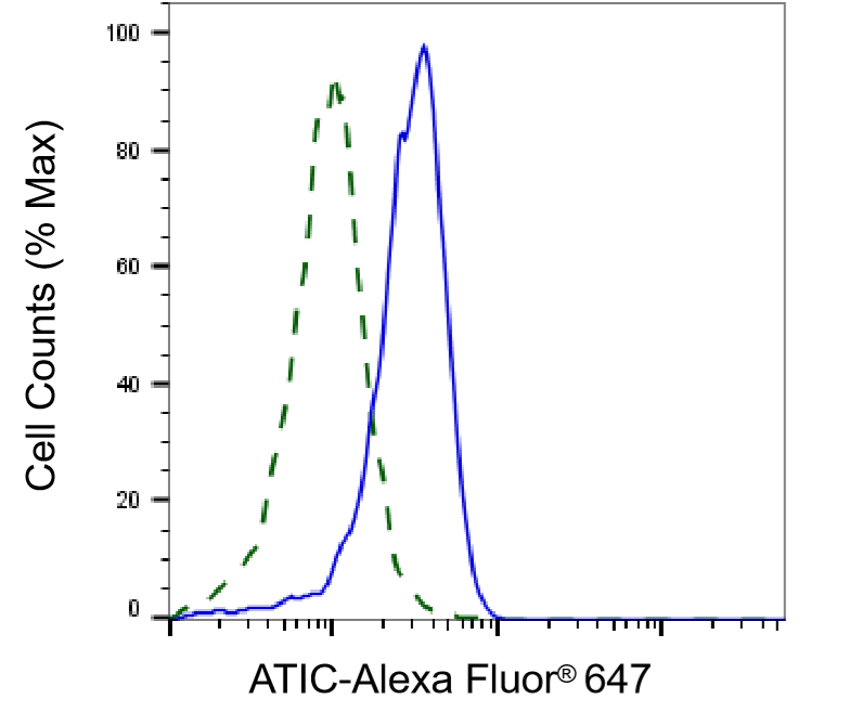 ATIC Antibody (24GB6745)