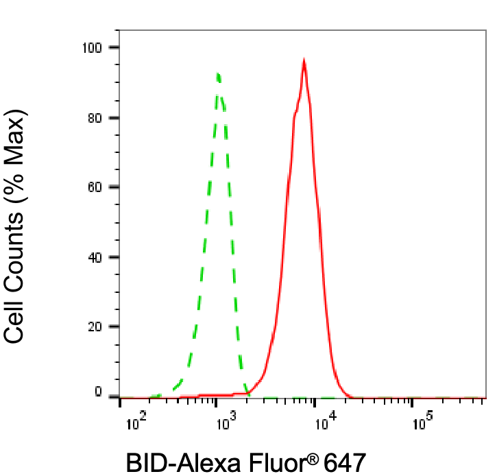 BID Antibody (24GB6760)