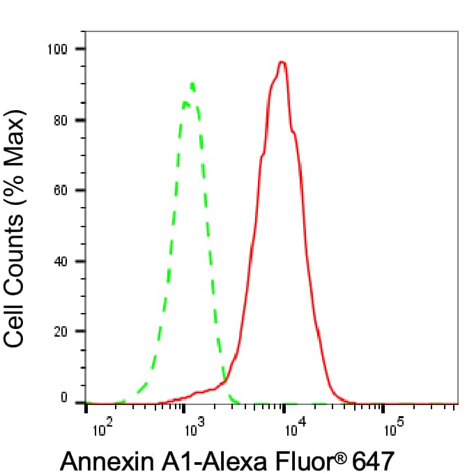 Annexin A1 Antibody (24GB6815)