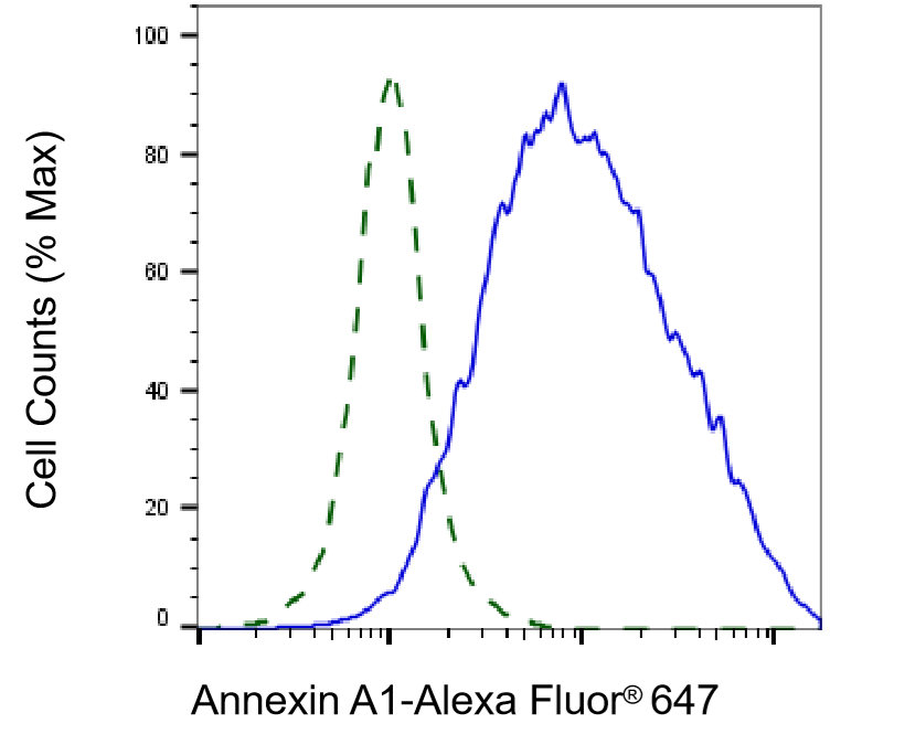 Annexin A1 Antibody (24GB6815)