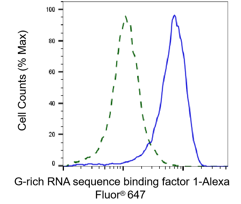 GRSF1 Antibody (23GB1890)