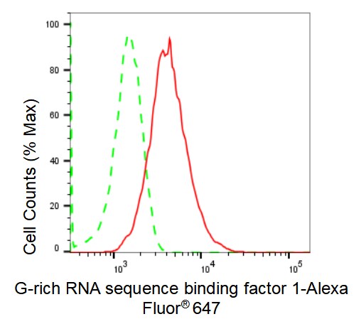 GRSF1 Antibody (23GB1890)