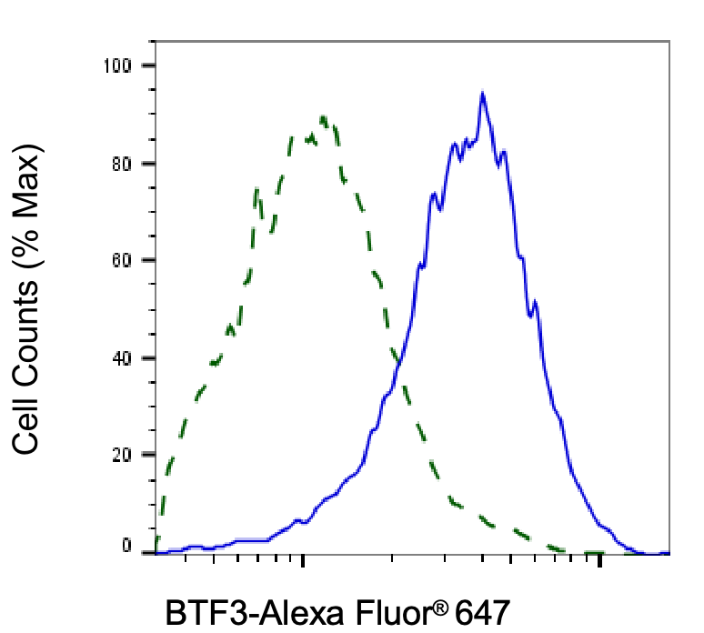 BTF3 Antibody (24GB6880)