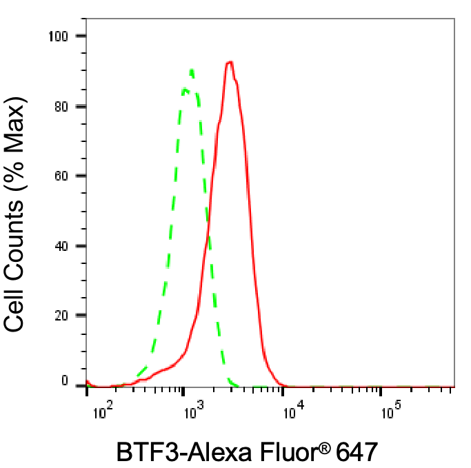 BTF3 Antibody (24GB6880)