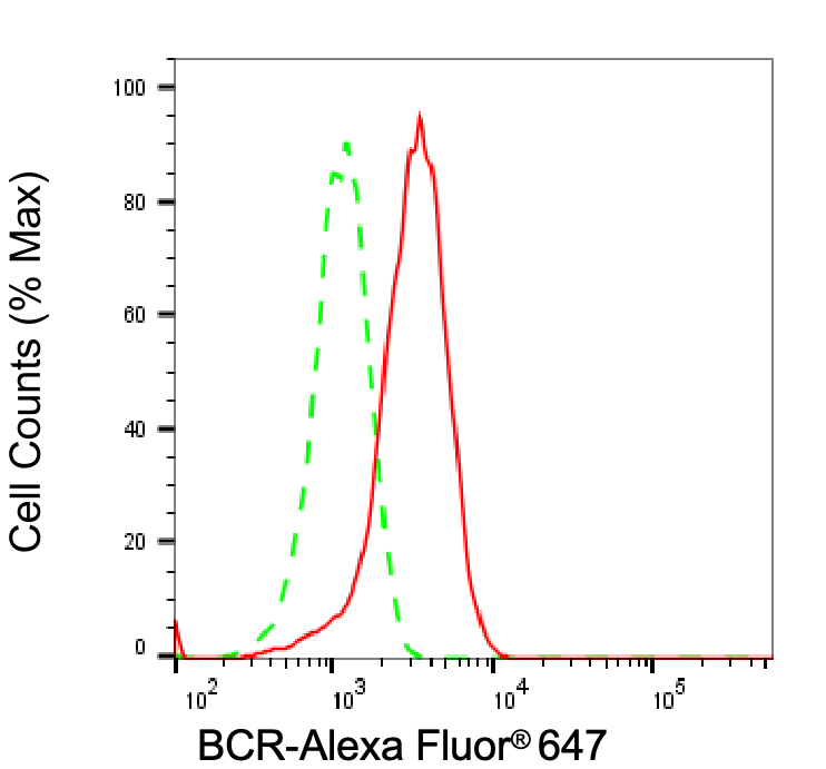 BCR Antibody (24GB6945)