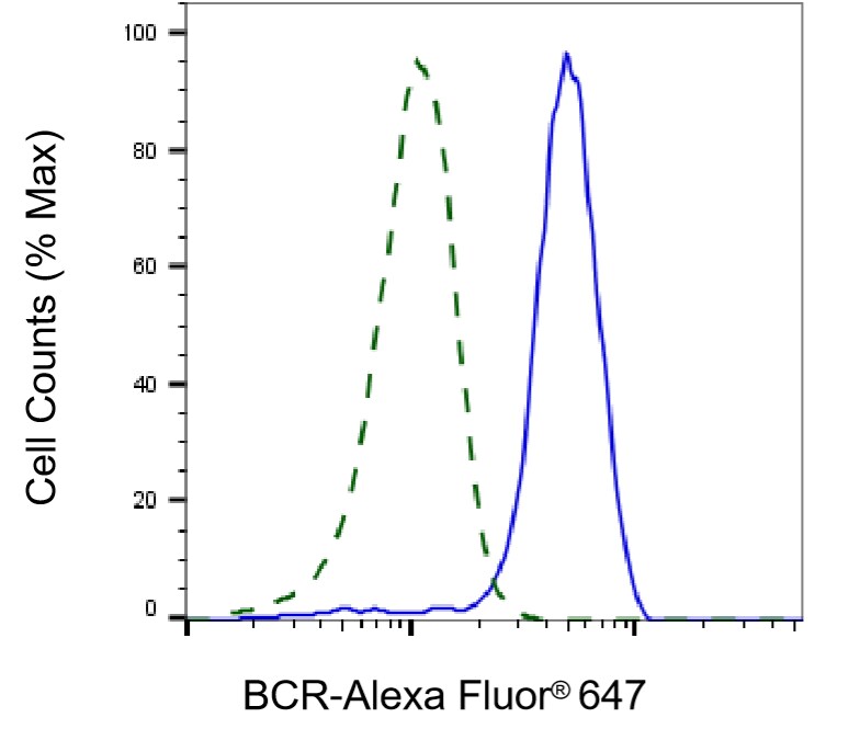 BCR Antibody (24GB6945)