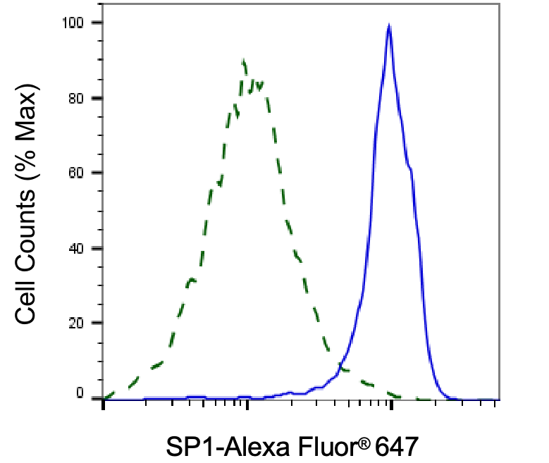 SP1 Antibody (24GB7095)