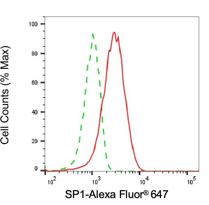SP1 Antibody (24GB7095)
